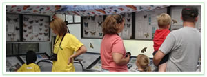 Family and students observing the educational display of butterflies inside the butterfly conservatory