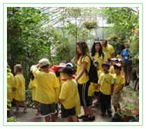 Students experiencing butterflies inside the butterfly conservatory